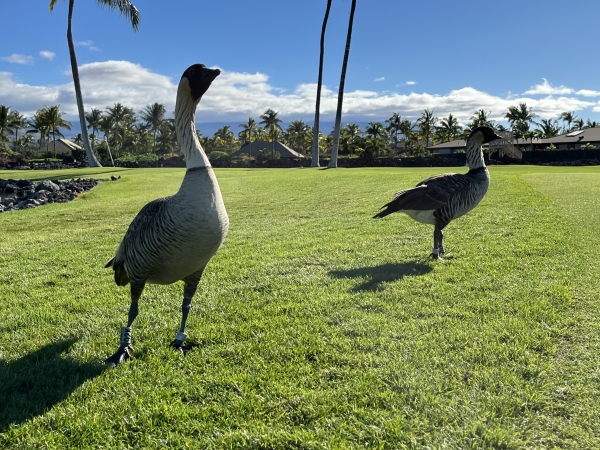 2023-12-28_10-15-52_086