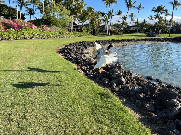 2023-12-28_11-26-36_259